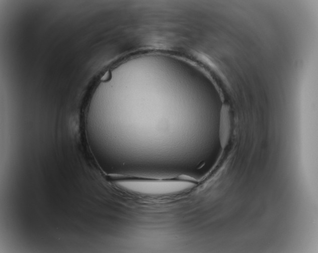 X0000088691307200706141405