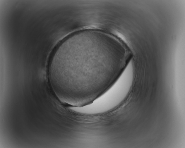 X0000088691308200706141405