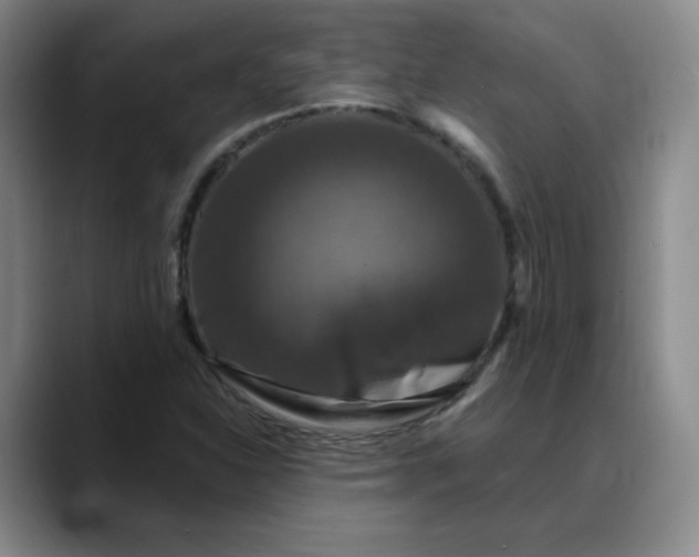 X0000088691310200706141405