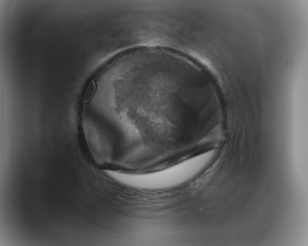 X0000088691311200706141405