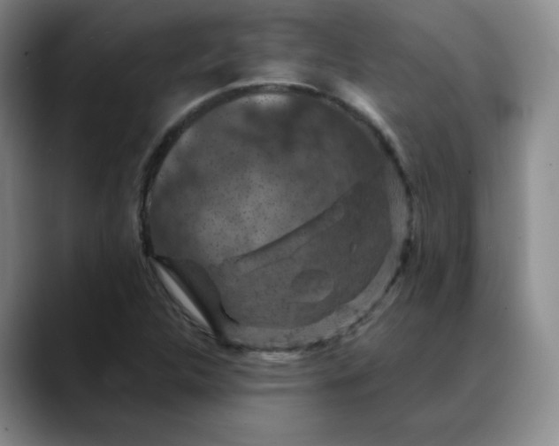 X0000088691312200706141405