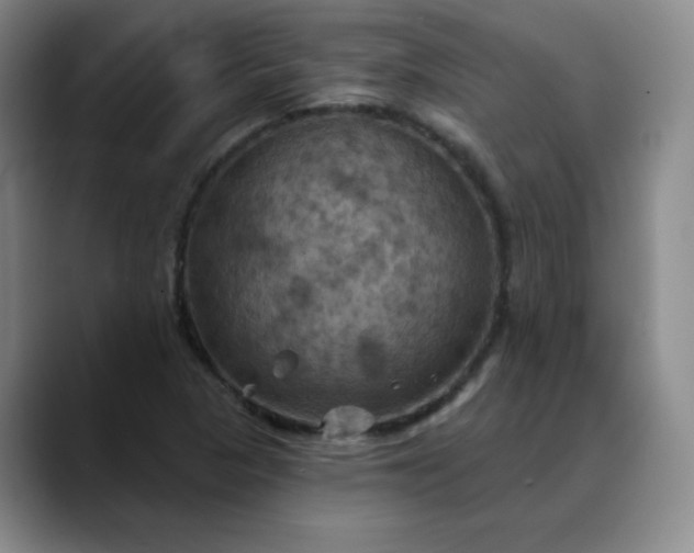 X0000088691313200706141405