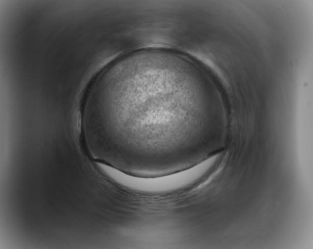 X0000088691317200706141405