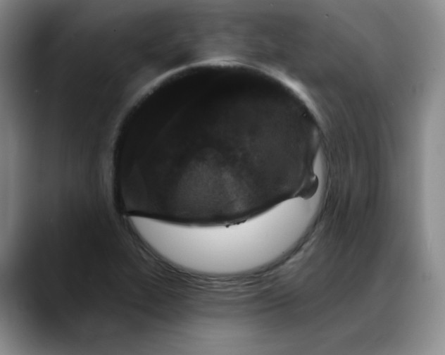 X0000088691319200706141405