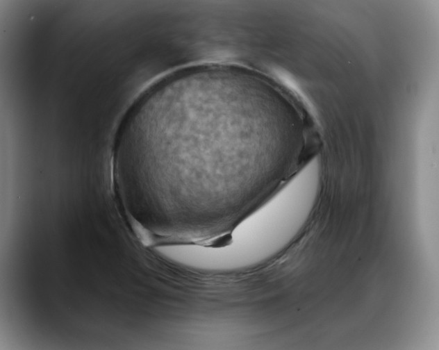 X0000088691320200706141405