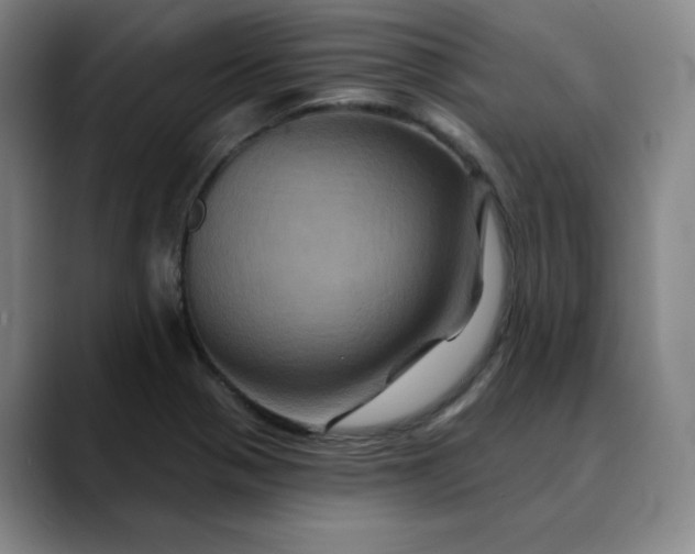 X0000088691321200706141405