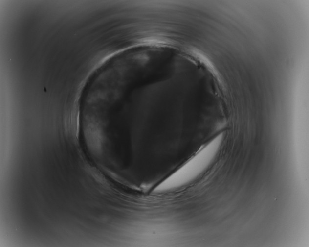 X0000088691323200706141405