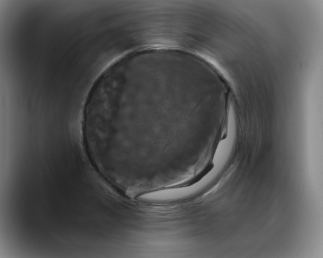 X0000088691325200706141405