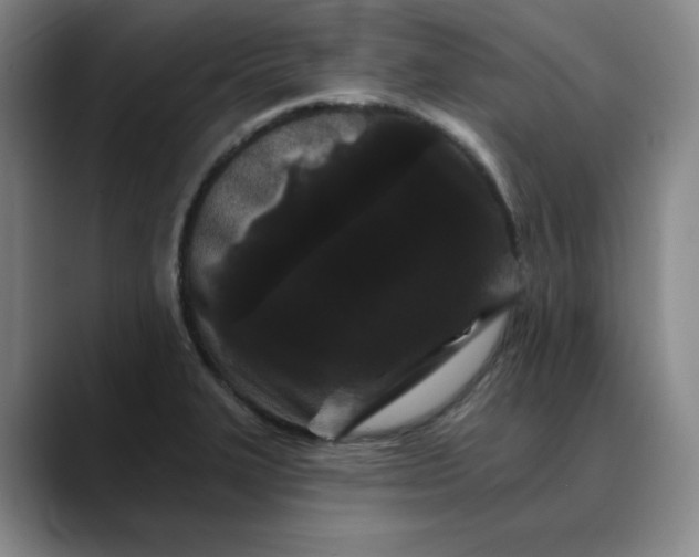 X0000088691327200706141405