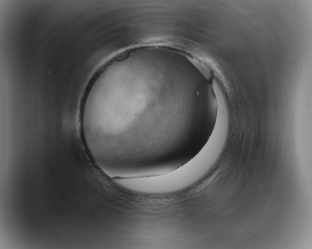 X0000088691328200706141405