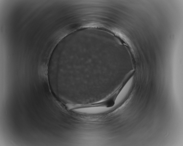 X0000088691329200706141405