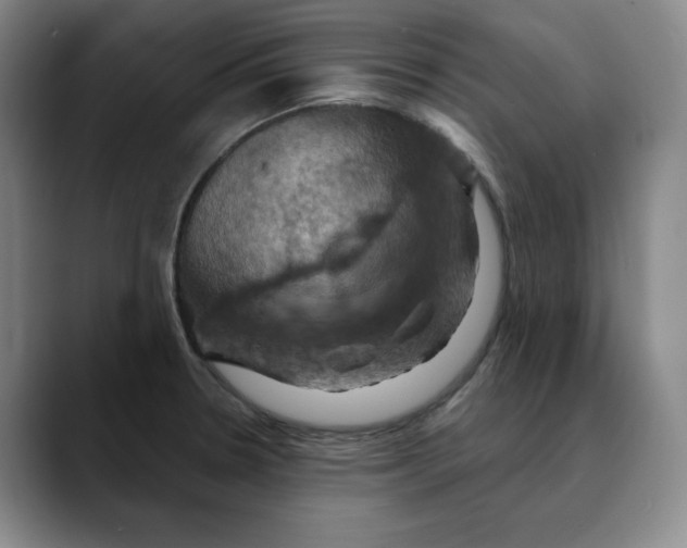 X0000088691330200706141405