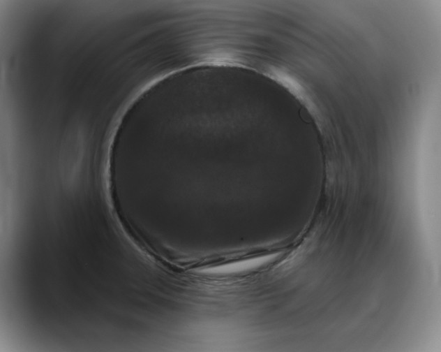 X0000088691331200706141405