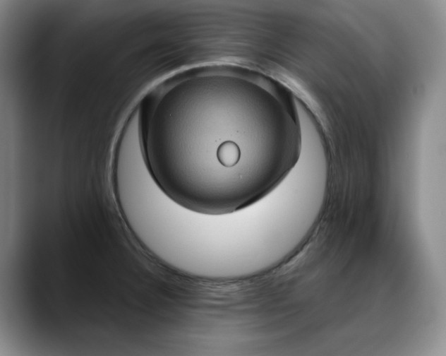 X0000088691332200706141405