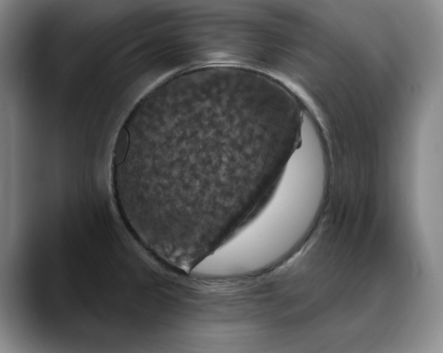 X0000088691333200706141405