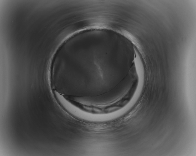 X0000088691334200706141405