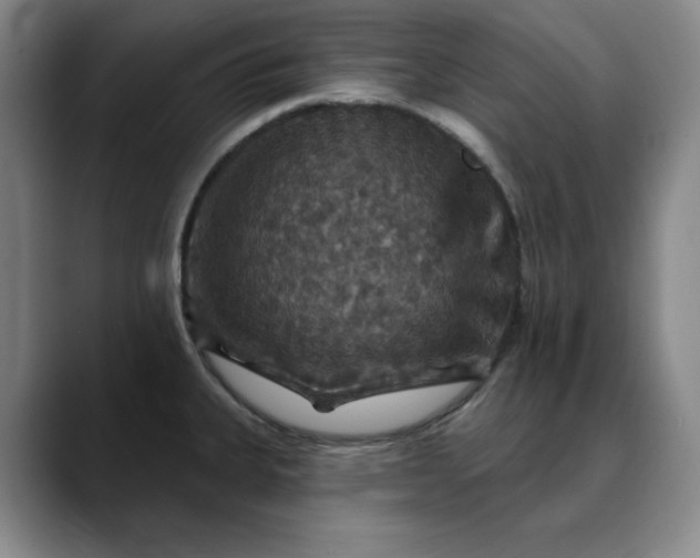 X0000088691335200706141405