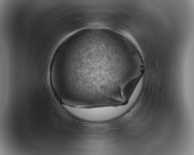 X0000088691336200706141405