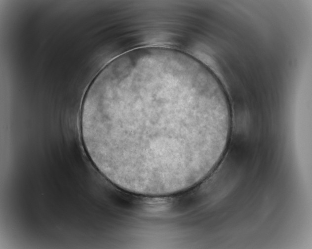 X0000088691338200706141405