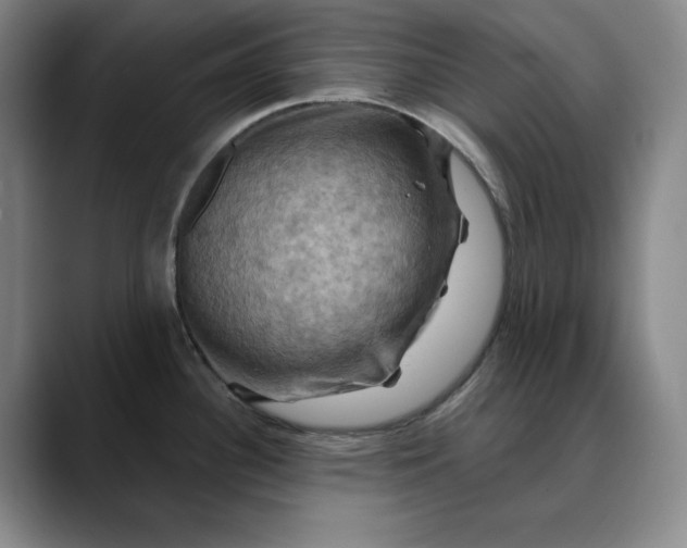 X0000088691340200706141405