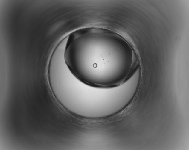 X0000088691344200706141405