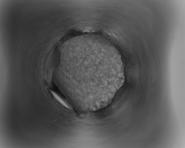 X0000088691345200706141405