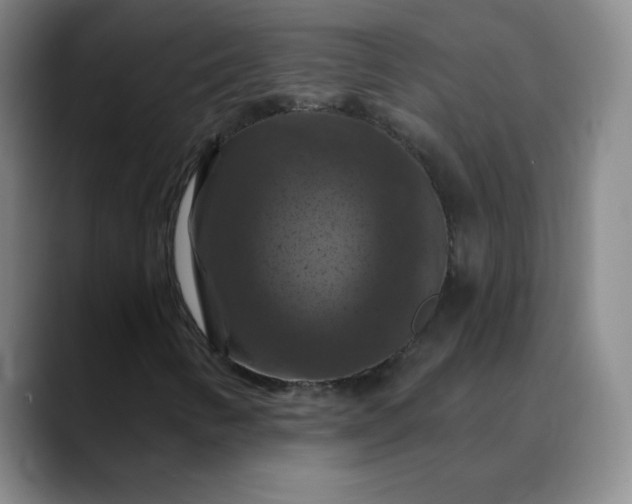 X0000088691346200706141405