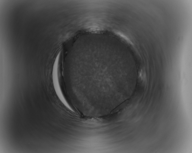 X0000088691348200706141405