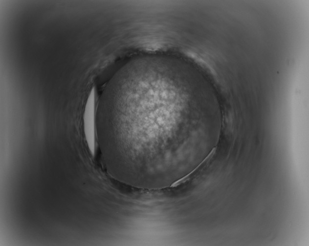 X0000088691349200706141405