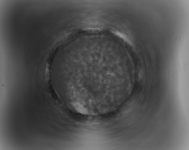 X0000088691350200706141405