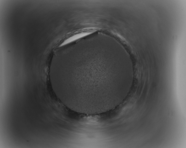 X0000088691351200706141405