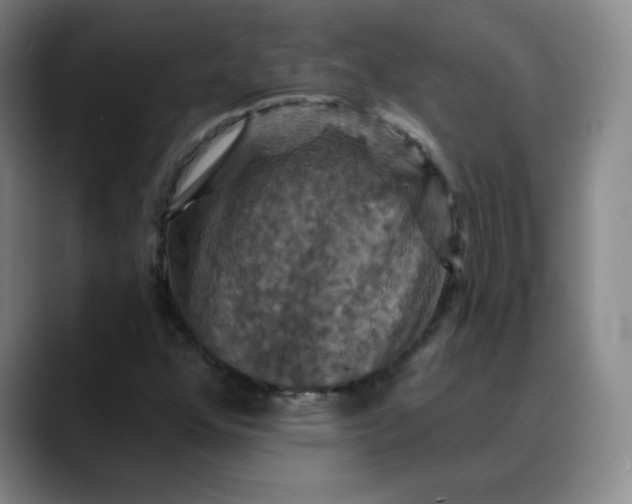 X0000088691352200706141405