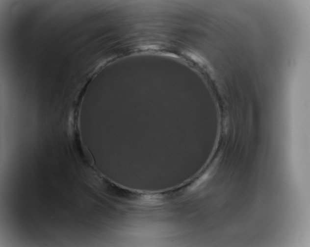 X0000088691353200706141405