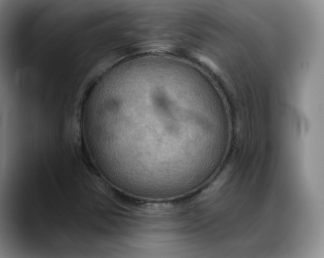 X0000088691354200706141405