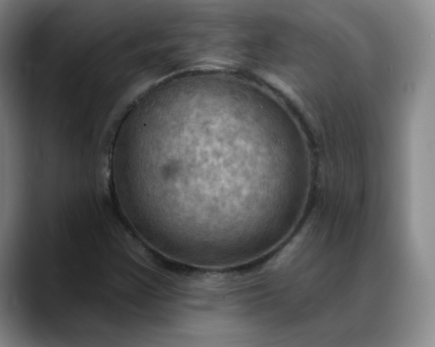 X0000088691355200706141405