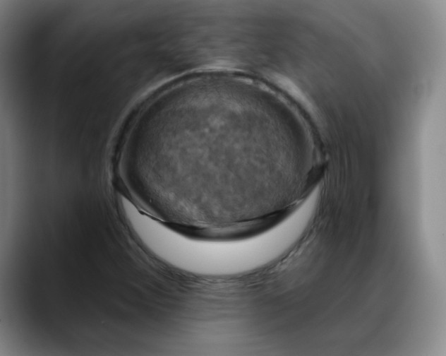 X0000088691356200706141405