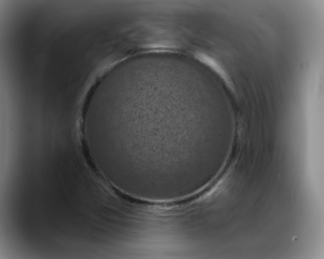 X0000088691357200706141405