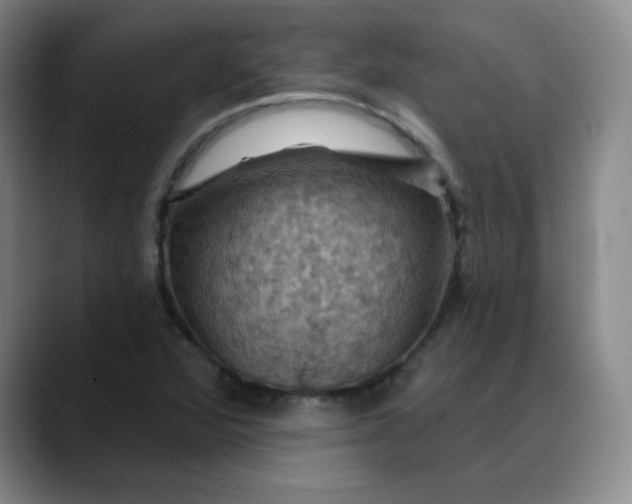 X0000088691360200706141405