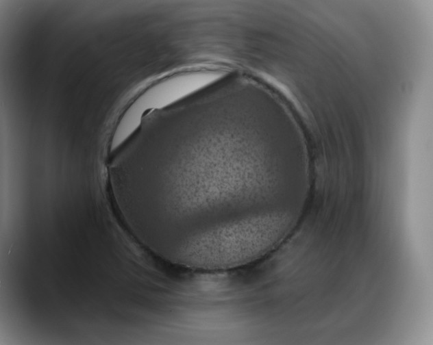 X0000088691363200706141405