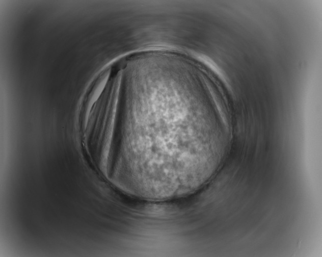 X0000088691364200706141405