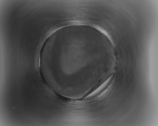 X0000088691365200706141405