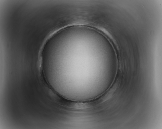 X0000088691366200706141405