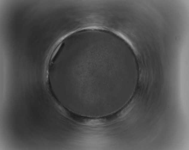 X0000088691367200706141405