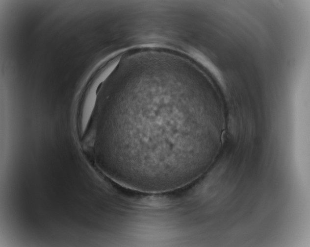 X0000088691368200706141405