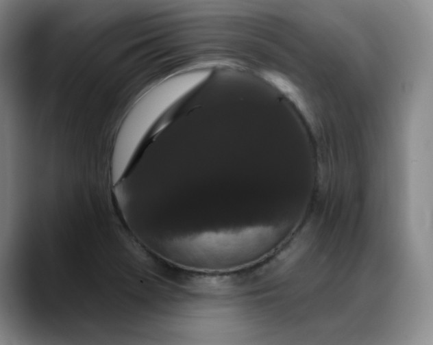 X0000088691369200706141405