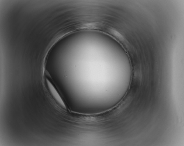 X0000088691370200706141405