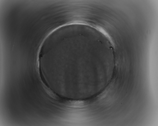 X0000088691372200706141405