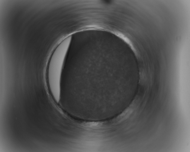 X0000088691373200706141405