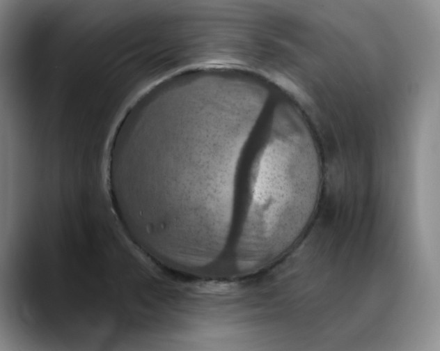 X0000088691374200706141404