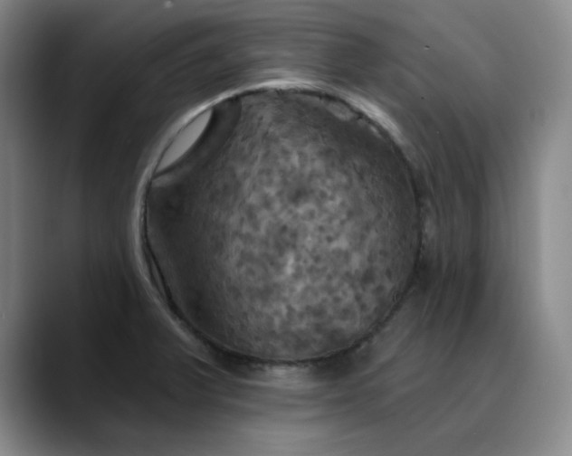 X0000088691375200706141404